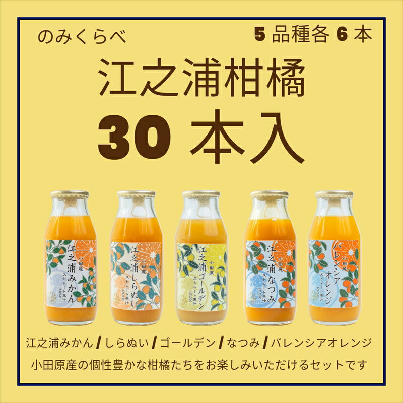 小田原産江之浦みかんジュース5種のみくらべ30本セット うんしゅう・しらぬい・ゴールデン・なつみ・バレンシアオレンジ100%ストレートジュース180ml各6本合計30本神奈川