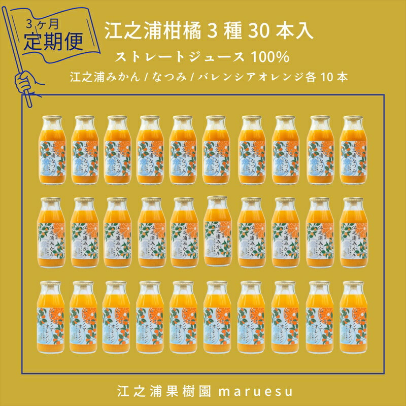 【定期便 3回】 小田原産江之浦みかんジュース3種のみくらべ30本セット うんしゅう・なつみ・バレンシアオレンジ100%ストレートジュース180ml各10本合計30本神奈川県小田