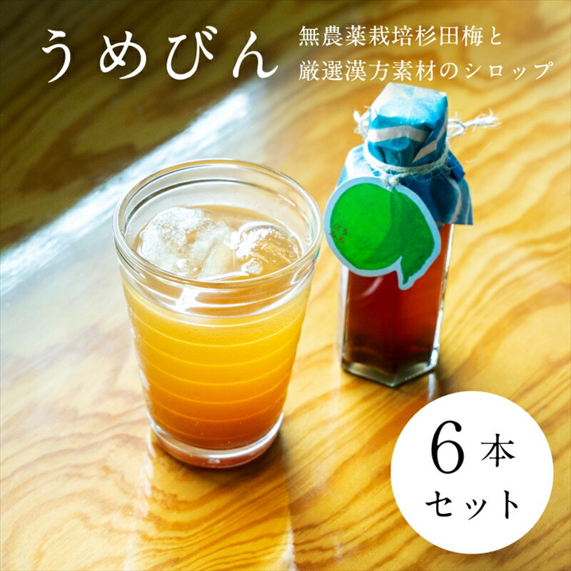 【6本セット】濃厚梅エキスと漢方のシロップ「うめびん(杉田梅) by Kampo Kitchen」【 家庭用 自宅用 贈答品 贈答用 ギフト お取り寄せ お中元 お歳暮 贈り物 お祝い 神奈川県 小田原市 】神