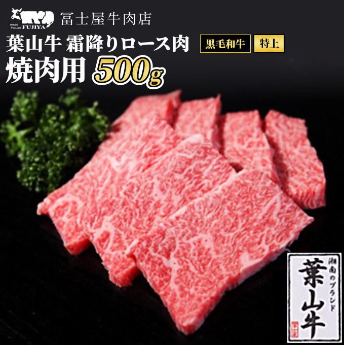  ymX͂ tR  [X ēp 500g a [X T[C ē_ސ쌧qs40000