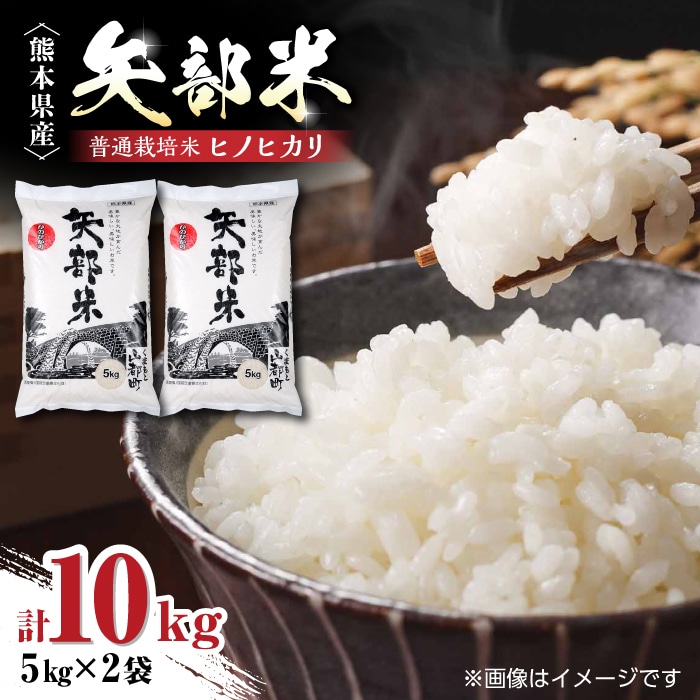 令和6年産 矢部米 普通栽培米 10kg (5kg×2袋) お米 熊本産【一般
