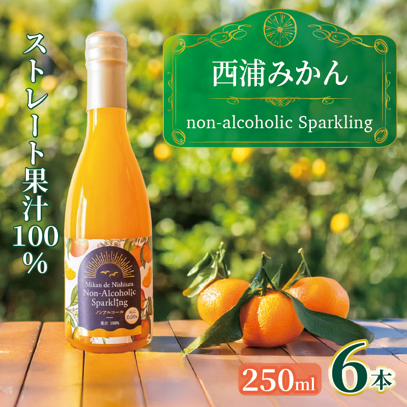 西浦 みかん スパークリング ジュース ストレート 果汁 100% 250ml×6本 蜜柑 飲み物 ミカン 人気 贈答用 静岡 沼津静岡県沼津市20000お茶・飲料果汁・野菜飲料