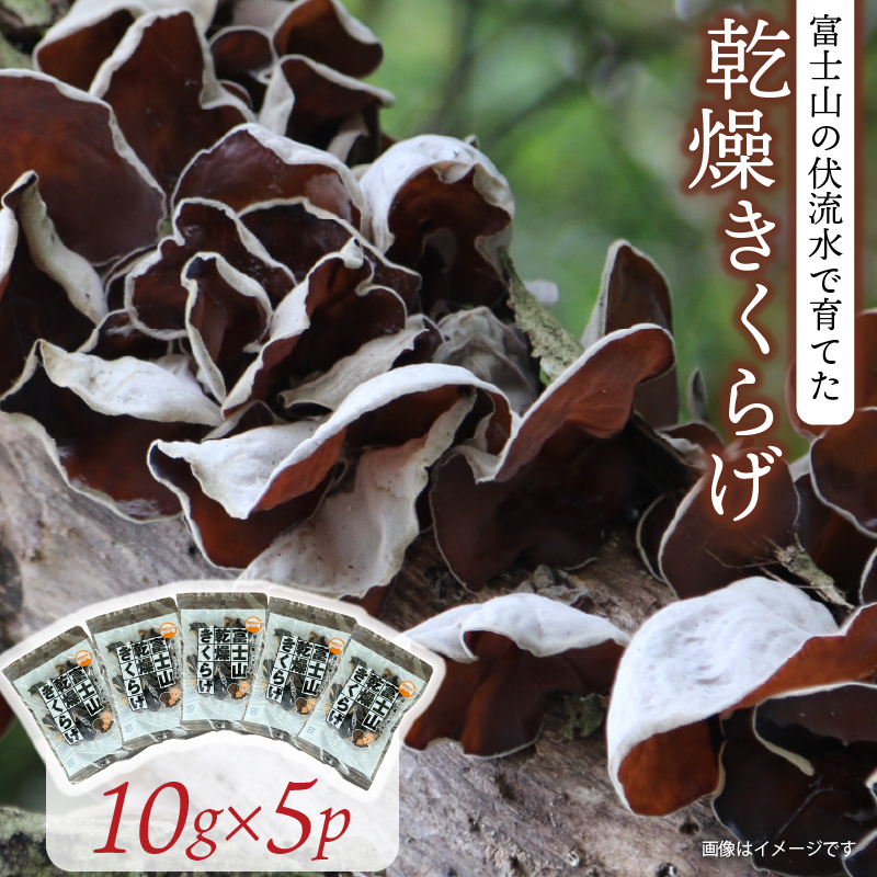乾燥 きくらげ 10g×5パック 計50g 栄養豊富 キクラゲ 中華 木耳 きのこ 健康 食品 食物繊維 食感 静岡 沼津静岡県沼津市7000野菜・きのこきのこ
