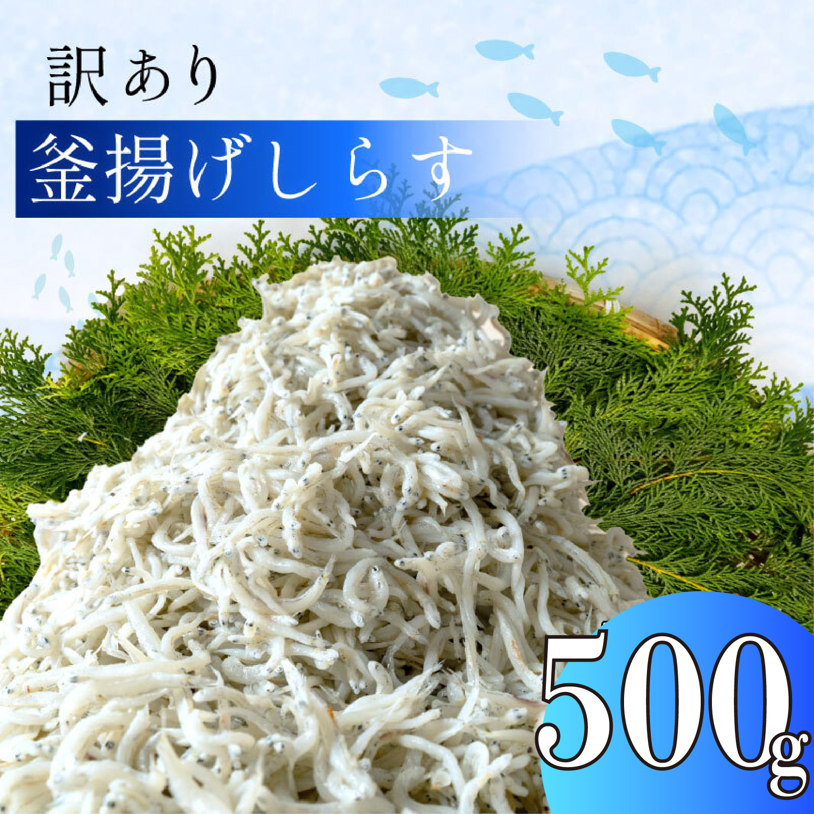 訳あり 釜揚げ しらす 500g 1パック 冷凍 小分け しらす パック しらす 駿河湾 の恵み シラス サイズ不揃い静岡県沼津市10000魚介・海産物