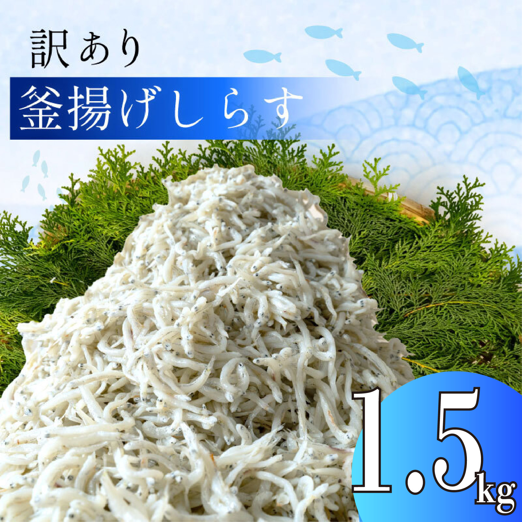 訳あり 釜揚げ しらす 1.5kg 冷凍 小分け 500g × 3パック しらす パック しらす 駿河湾 の恵み シラス サイズ不揃い静岡県沼津市21000魚介・海産物
