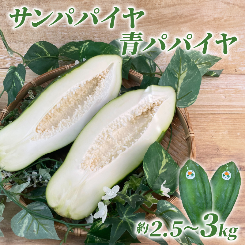 y\񒍕/2025N9{蔭z T ppC  ppC  2.5 kg ` 3 kg yf  ʕ t[c ppCA  É ÎsÉÎs10000؁Ê̑ 