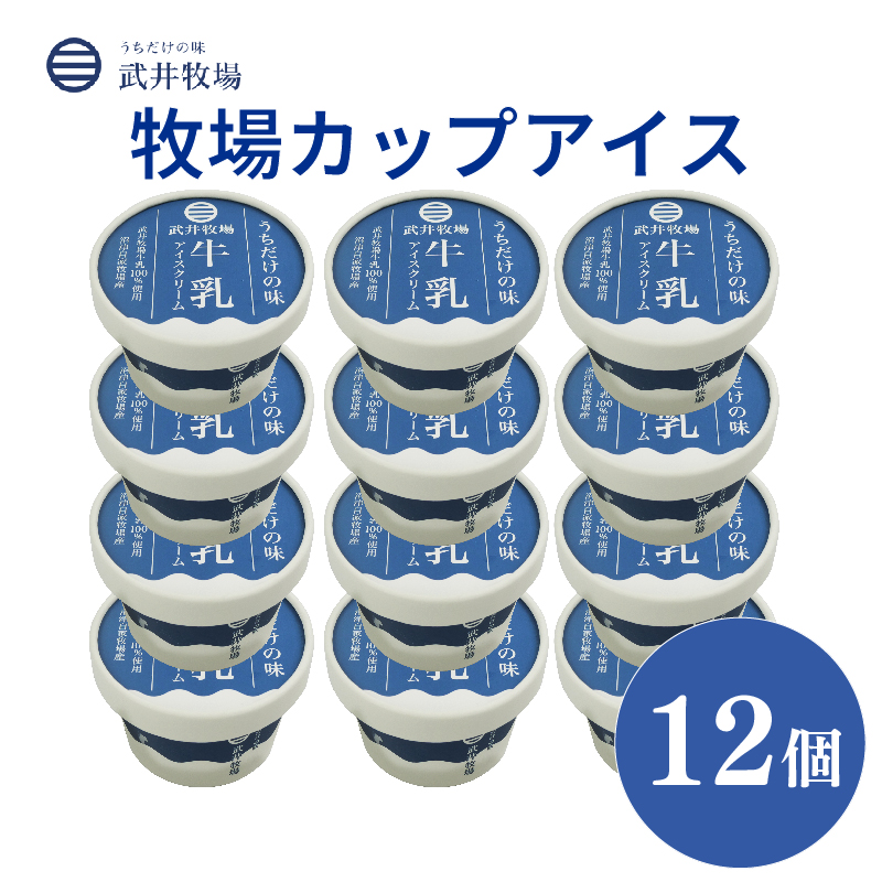 アイスクリーム カップアイス 12個 うちだけの味 武井牧場 自家製 アイス 牧場 牛乳 お土産 プレゼント ギフト 贈答 お取り寄せ スイーツ お菓子 デザート 静岡県 沼津市静岡県沼津市15000菓
