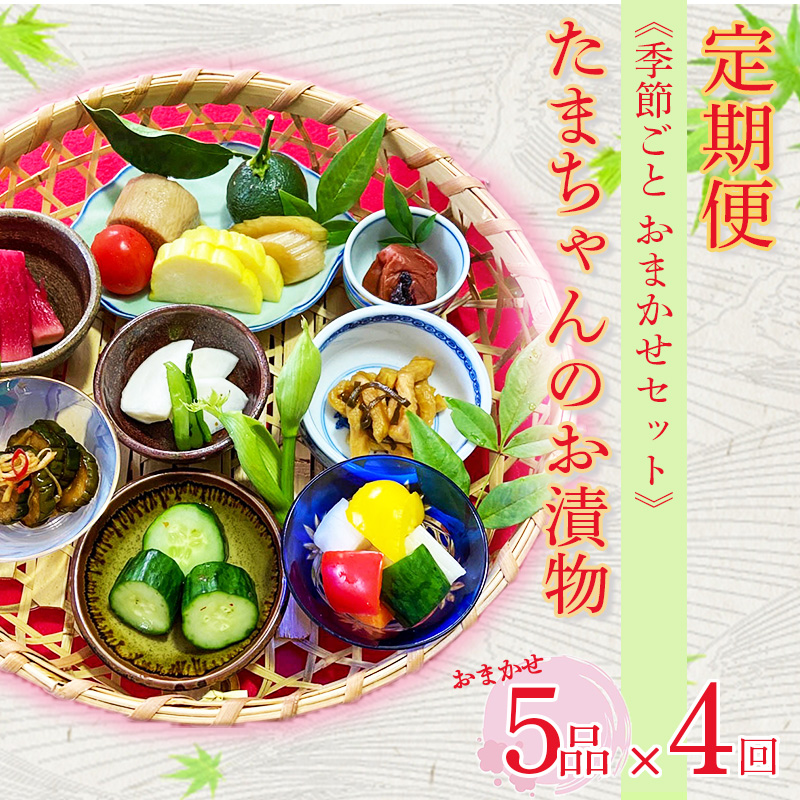 定期便 年4回 野菜 漬物 詰め合わせ 季節野菜 5品 おまかせ 沼津 セット 小分け 旬 つけもの 漬け物 漬け もの たくあん 人気 浅漬け お醤油漬け 酢漬け ビール漬け 静岡県静岡県沼津市34000鍋