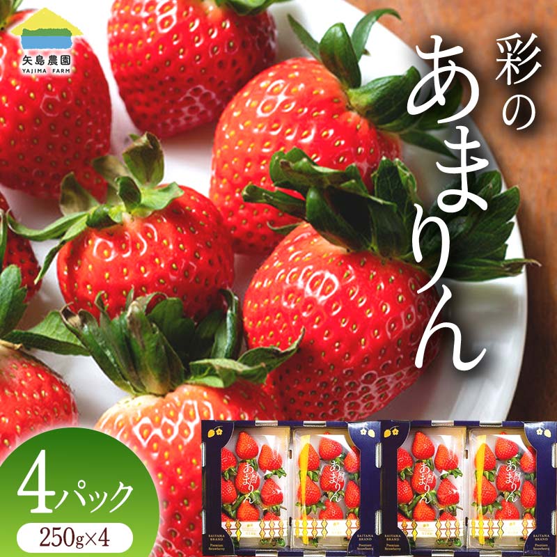 ≪先行予約≫【1月発送】埼玉県本庄市産 いちご 彩のあまりん 250g×4パック 2026年1月上旬から順次発送 苺 いちご イチゴ ストロベリー 新品種 甘い あまい 果物 フルーツ 冬 果実 デザート 食