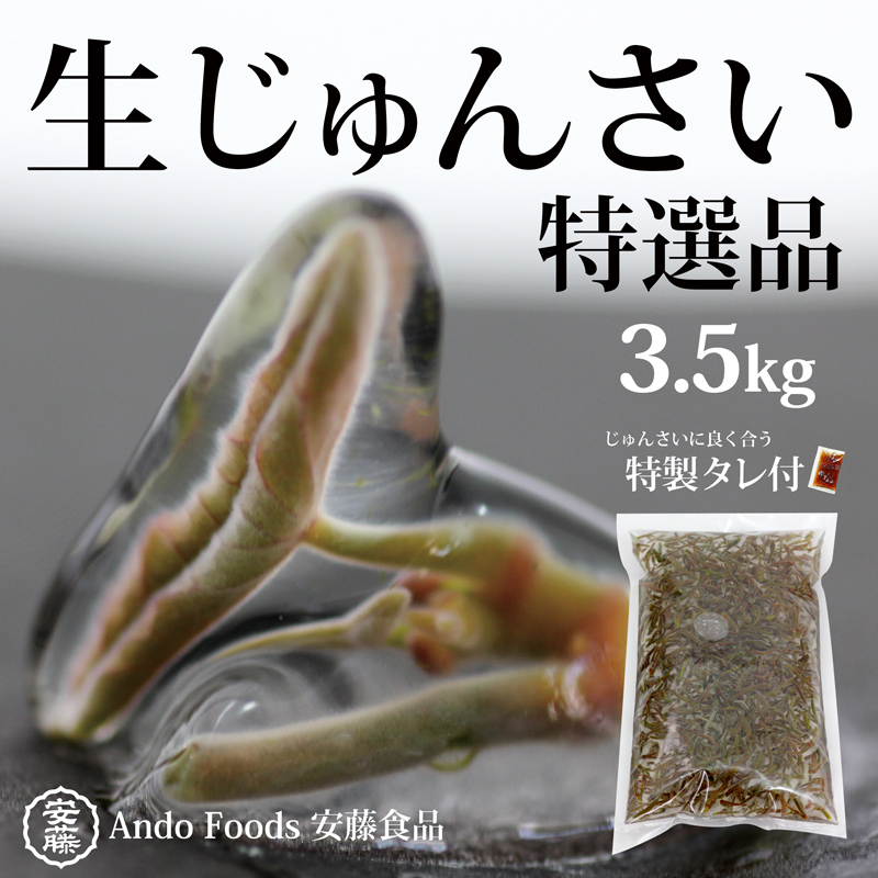 I񂳂3.5kg 䂸^6 s①ti2026N5{`7{܂łɔ\j ߘa8NY 2026NY st  HcY O풬YHcO풬155000؁Ê