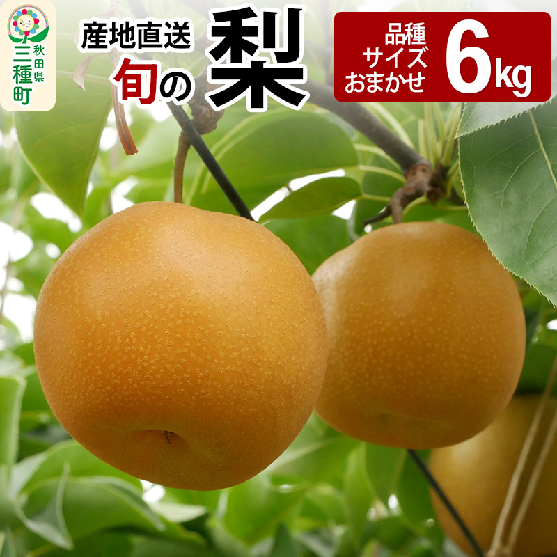 《先行受付》今が旬! 梨 6kg 【品種、サイズおまかせ】 産地直送 和梨秋田県三種町15000果物・フルーツ