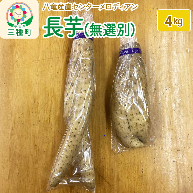 長芋4kg(無選別)秋田県三種町11000野菜・きのこ