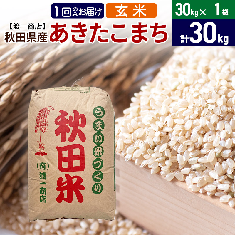 あきたこまち 玄米 30kg(30kg×1袋) 秋田県産 令和5年産秋田県三種町33000米・パン玄米・雑穀米・もち米・餅