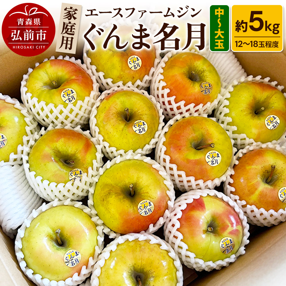 【25年10月〜発送】りんご家庭用ぐんま名月 約5kg(中玉〜大玉12玉〜18玉程度)【先行受付】 青森 果物 フルーツ 林檎 リンゴ くだもの 予約青森県弘前市16000果物・フルーツりんご・梨