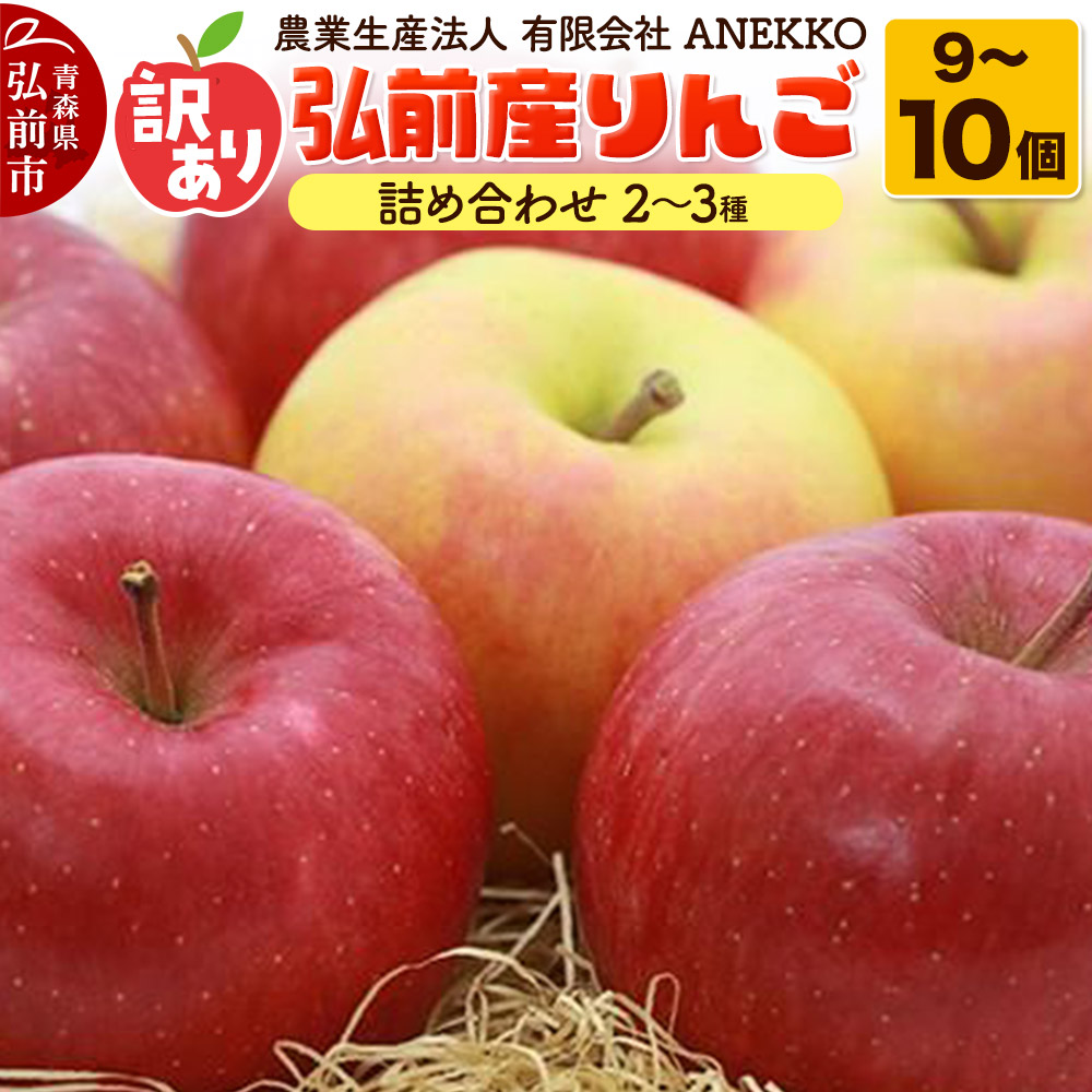 【25年10月〜発送】りんご 訳あり【先行受付】 弘前産りんご 詰め合わせ 2〜3種 家庭用 9〜10個青森県弘前市12000果物・フルーツりんご・梨