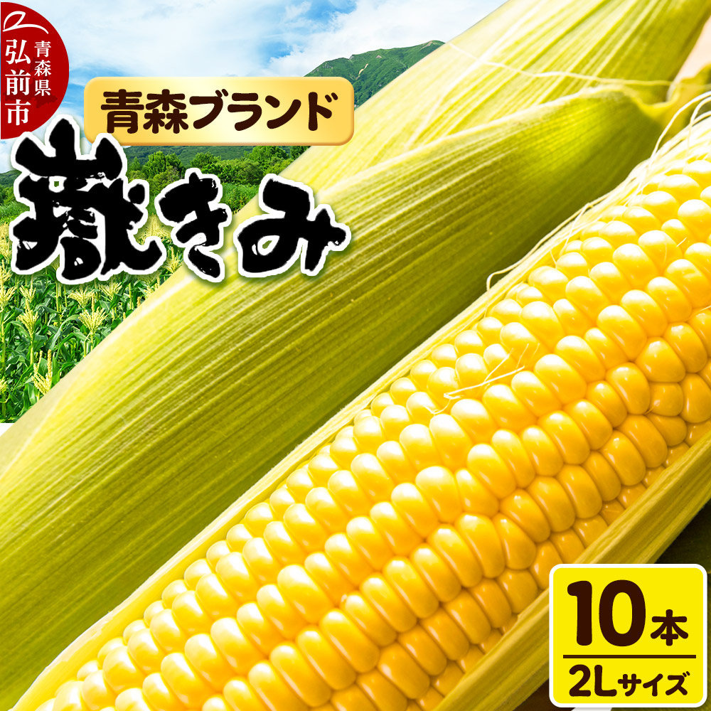 【25年8月〜発送】とうもろこし 青森県弘前市産 嶽きみ(だけきみ)2Lサイズ 10本 【岩木山麓嶽高原産 とうもろこし】青森県弘前市17000野菜・きのこ