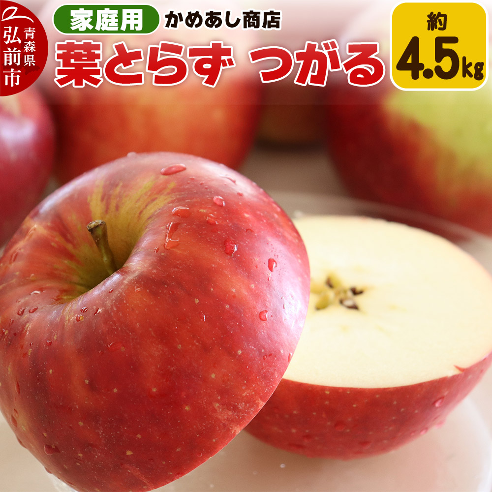 【25年9月発送】りんご 葉とらず つがる【家庭用】約4.5kg ゴールド農園青森県弘前市13000果物・フルーツりんご・梨