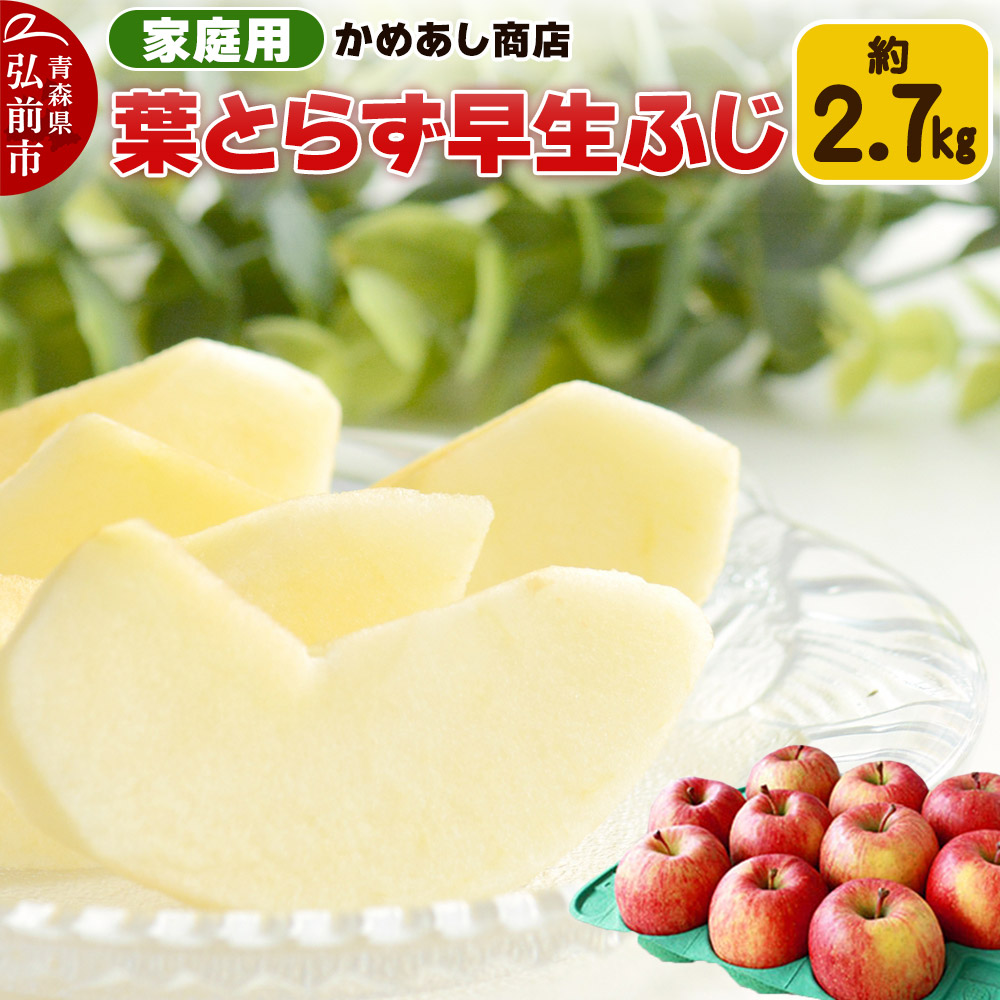 【25年10月発送】りんご 葉とらず 早生ふじ【家庭用】約2.7kg ゴールド農園青森県弘前市12000果物・フルーツりんご・梨