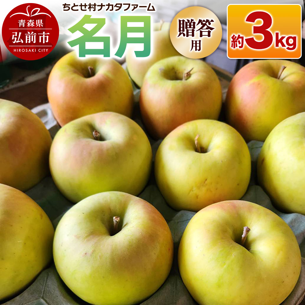【25年11月〜発送】りんご 名月 約3kg 贈答用 ちとせ村青森県弘前市13000果物・フルーツりんご・梨