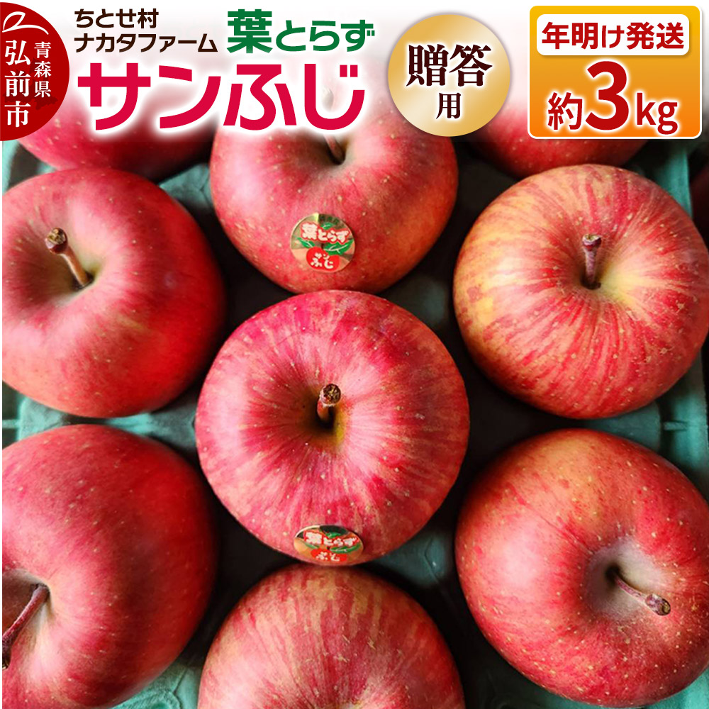 【26年1月〜発送】りんご 葉とらずサンふじ 約3kg 贈答用 ちとせ村青森県弘前市13000果物・フルーツりんご・梨