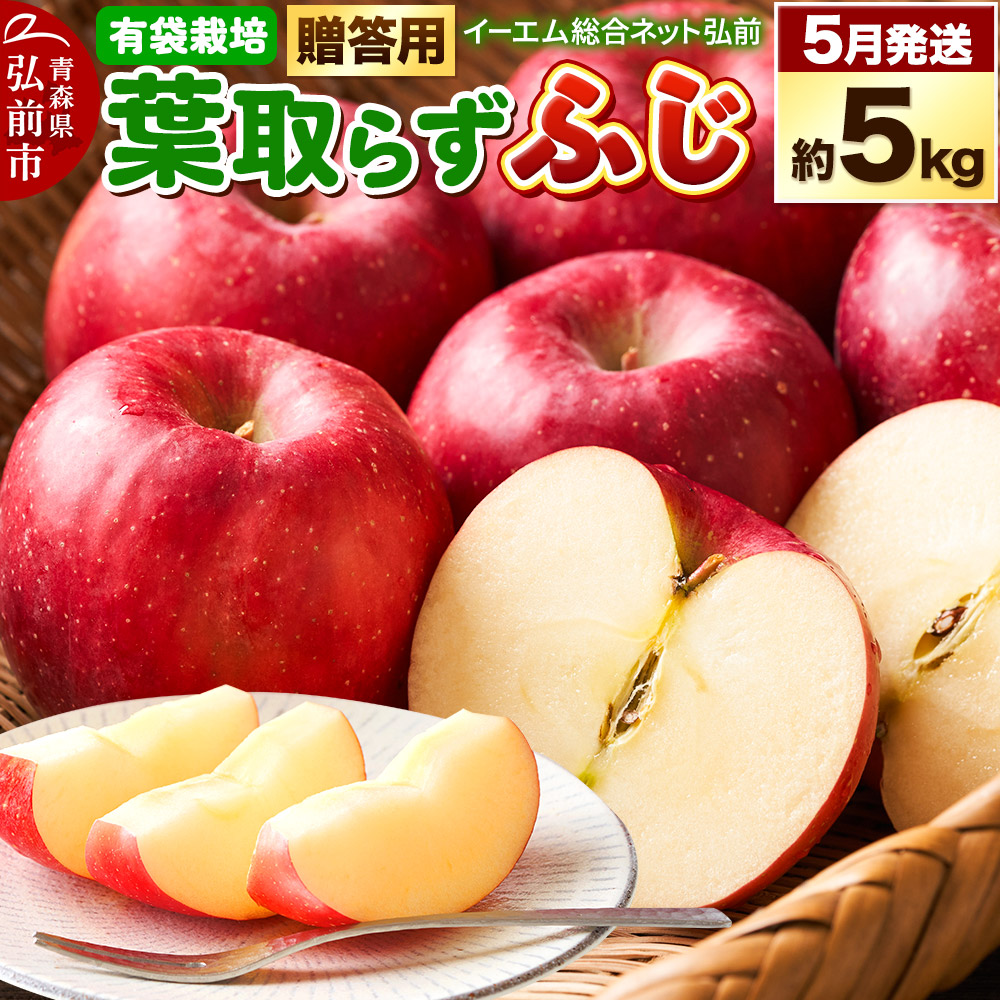 【26年5月クール便発送】りんご 贈答用 葉取らず ふじ 約5kg(有袋栽培・CA貯蔵)EMりんご青森県弘前市18000果物・フルーツりんご・梨