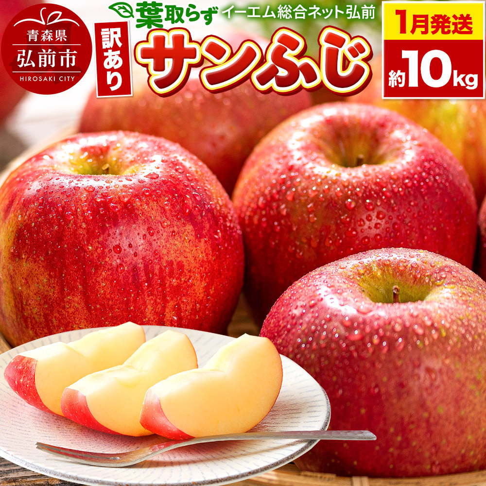 【26年1月発送】りんご【訳あり】葉取らず サンふじ 約10kg 糖度 13度以上 EMりんご青森県弘前市18000果物・フルーツりんご・梨