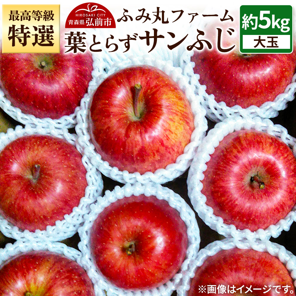 【25年12月発送】りんご 最高等級「特選」大玉 葉とらず サンふじ 約5kg 糖度14度以上青森県弘前市25000果物・フルーツりんご・梨