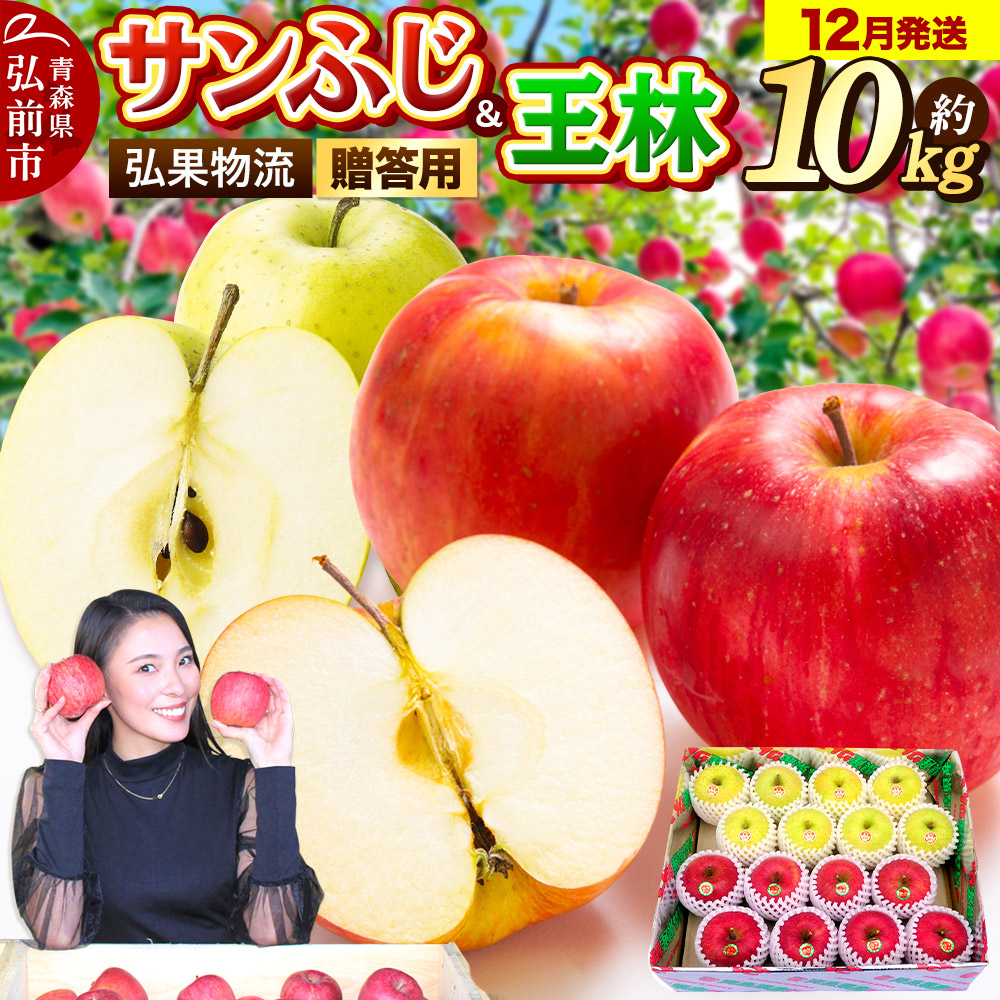 【25年12月発送】りんご 贈答用 サンふじ・王林 詰め合わせ 約10kg青森県弘前市30000果物・フルーツりんご・梨