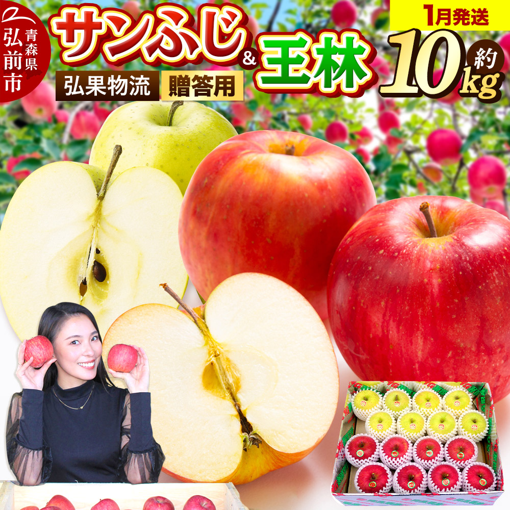 【26年1月発送】りんご 贈答用 サンふじ・王林 詰め合わせ 約10kg青森県弘前市30000果物・フルーツりんご・梨