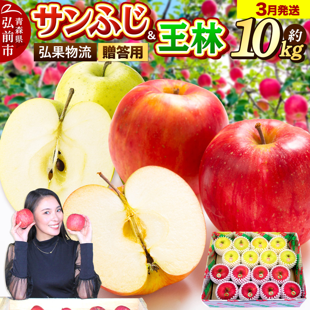 【26年3月発送】りんご 贈答用 サンふじ・王林 詰め合わせ 約10kg青森県弘前市30000果物・フルーツりんご・梨