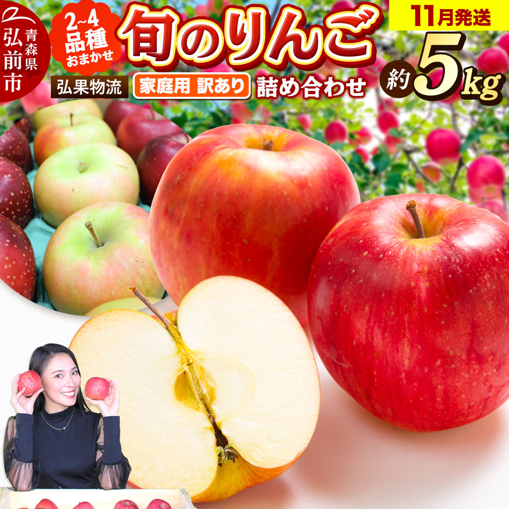 【25年11月発送】りんご 家庭用 訳あり 旬のりんご 品種おまかせ 約5kg 2品種〜4品種青森県弘前市13000果物・フルーツりんご・梨