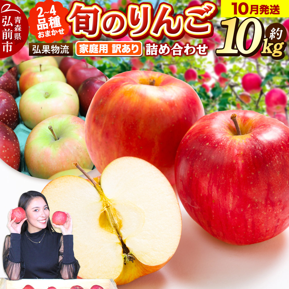 【25年10月発送】りんご 家庭用 訳あり 旬のりんご 品種おまかせ 約10kg 2品種〜4品種青森県弘前市21000果物・フルーツりんご・梨