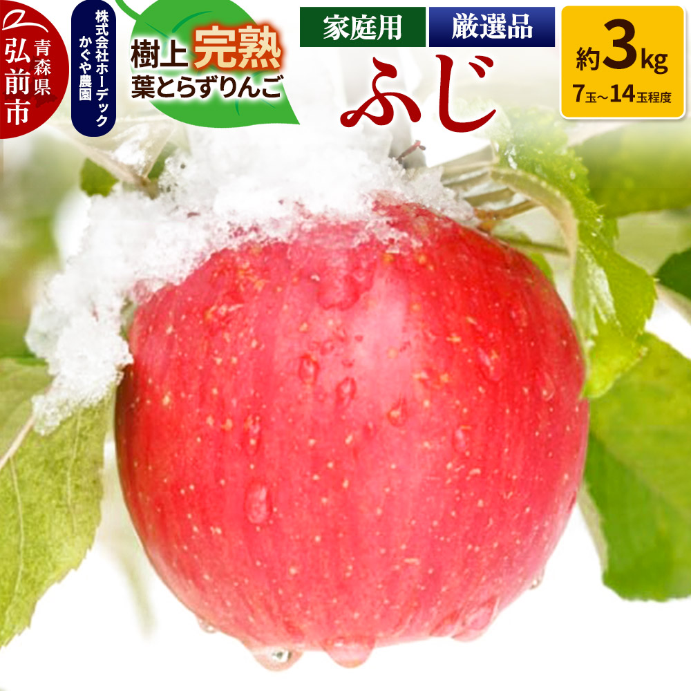 【25年11月〜発送】りんご ふじ 約3kg(7玉〜14玉程度)樹上完熟葉とらず【家庭用】厳選品 青森県産 りんご青森県弘前市10000果物・フルーツりんご・梨