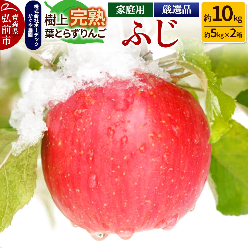 【25年11月〜発送】りんご ふじ 約10kg(約5kg×2箱) 樹上完熟葉とらず【家庭用】厳選品 青森県産 りんご青森県弘前市24000果物・フルーツりんご・梨