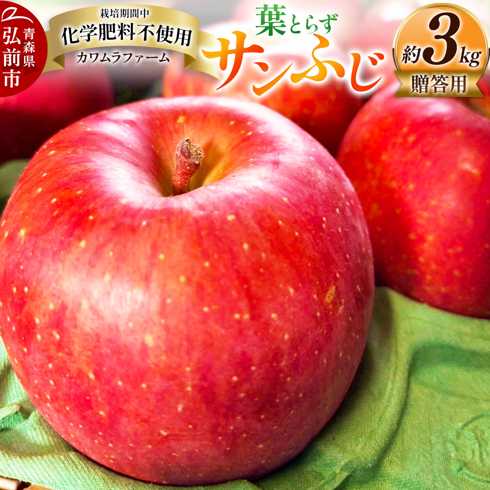【25年11月〜発送】りんご 葉とらず サンふじ 約3kg カワムラファーム 贈答用【先行受付】 青森 果物 フルーツ 林檎 リンゴ くだもの 予約青森県弘前市11000果物・フルーツりんご・梨