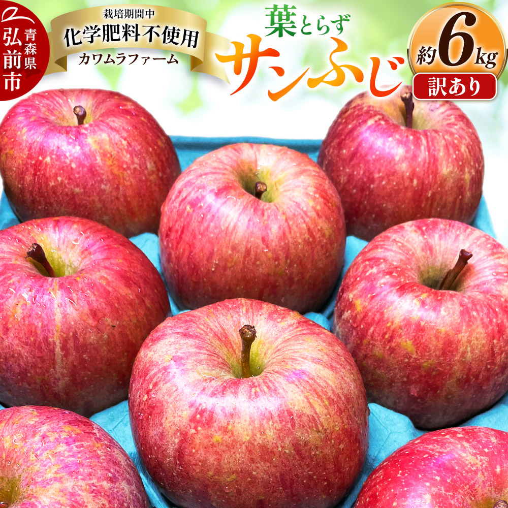 【25年11月〜発送】りんご 葉とらず サンふじ 約6kg カワムラファーム 訳あり【先行受付】 青森 果物 フルーツ 林檎 リンゴ くだもの 不揃い 規格外 予約青森県弘前市16000果物・フルーツりん