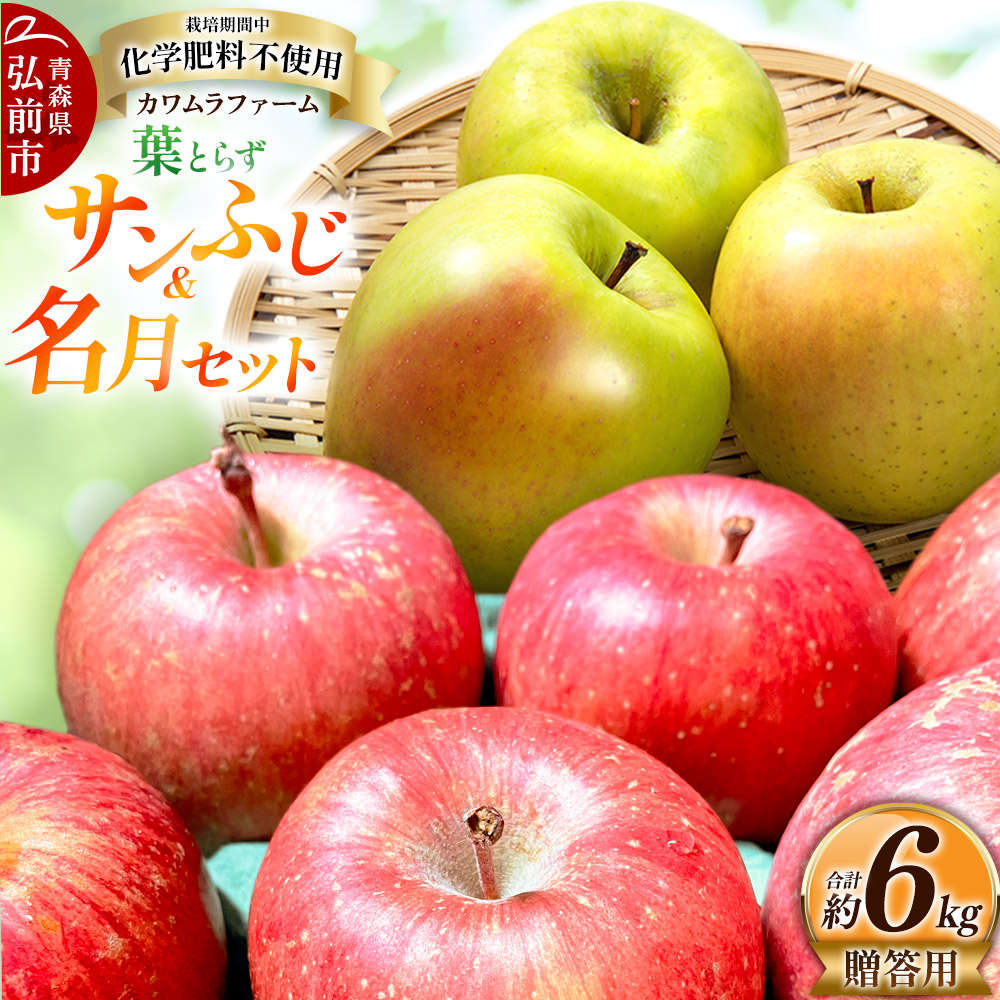 y25N11`z tƂ炸 Tӂ   Zbg 6kg Jt@[ pystz X ʕ t[c ь S  \XOOs18000ʕEt[c
