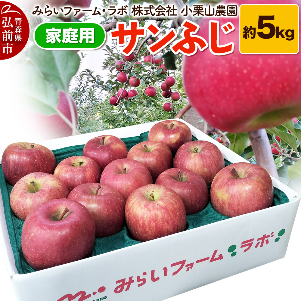 【25年12月発送】りんご【家庭用】サンふじ 約5kg青森県弘前市22000果物・フルーツりんご・梨