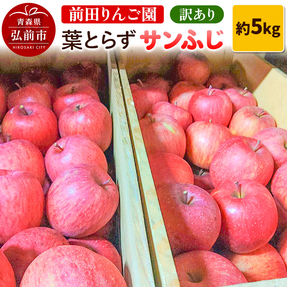 【12月〜発送】りんご【先行受付】訳あり 葉とらず サンふじ 約 5kg (16〜20玉程度) 前田りんご園 青森 果物 フルーツ 林檎 リンゴ くだもの 不揃い 規格外 予約青森県弘前市15000果物・フルー