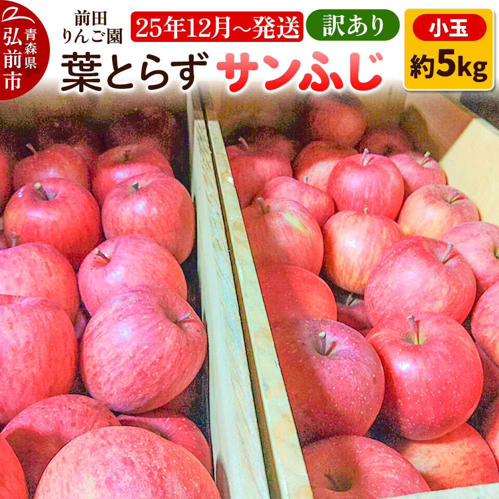 【25年12月発送】りんご【訳あり】葉とらず サンふじ 約5kg 小玉 前田りんご園青森県弘前市14000果物・フルーツりんご・梨