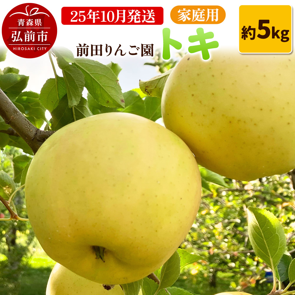 【25年10月発送】りんご【家庭用】トキ 約5kg 前田りんご園青森県弘前市15000果物・フルーツりんご・梨
