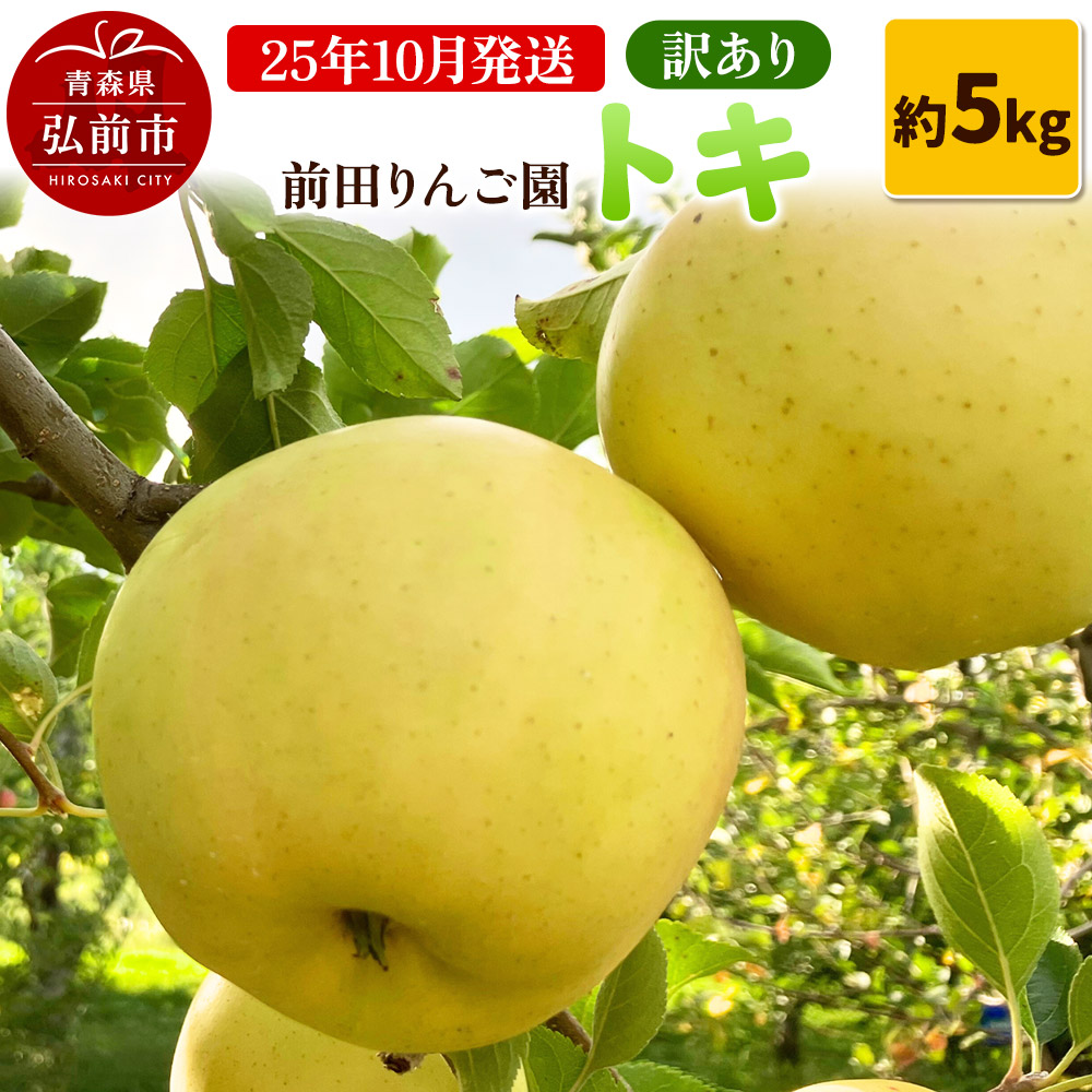 【25年10月発送】りんご【訳あり】トキ 約5kg 前田りんご園青森県弘前市14000果物・フルーツりんご・梨
