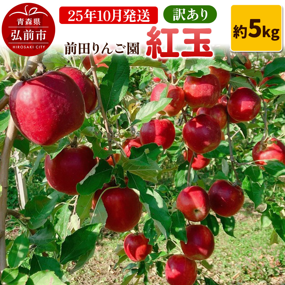 【25年10月発送】りんご【訳あり】紅玉 約5kg  前田りんご園青森県弘前市14000果物・フルーツりんご・梨
