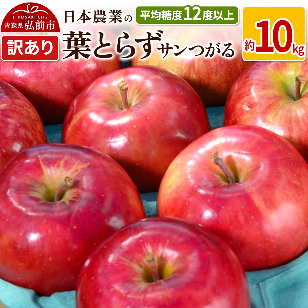 【25年10月〜発送】りんご 平均糖度12度以上! 葉とらずサンつがる 約10kg 訳あり クール便【先行受付】 青森 果物 フルーツ 林檎 リンゴ くだもの 不揃い 規格外 予約青森県弘前市21000果物・