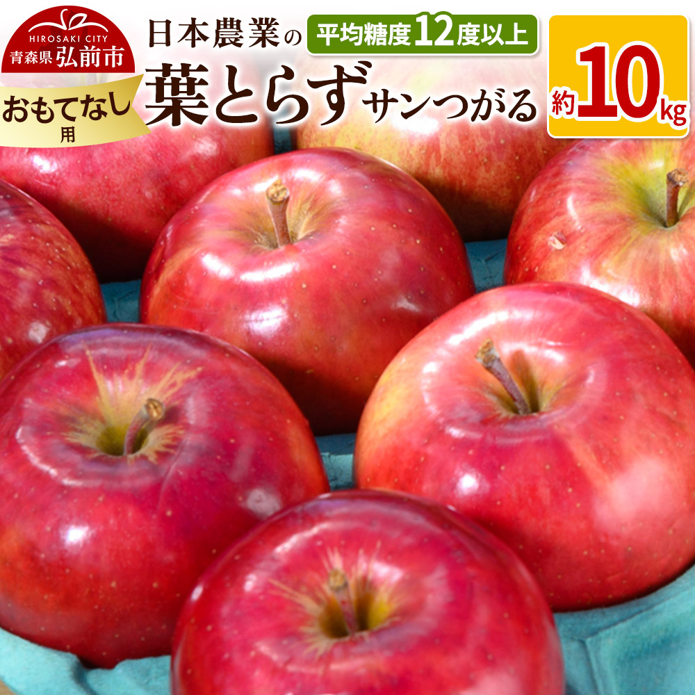 y25N10`z ϓx12xȏI tƂ炸T 10kg ĂȂp N[ցystz X ʕ t[c ь S  \XOOs25000ʕEt[c