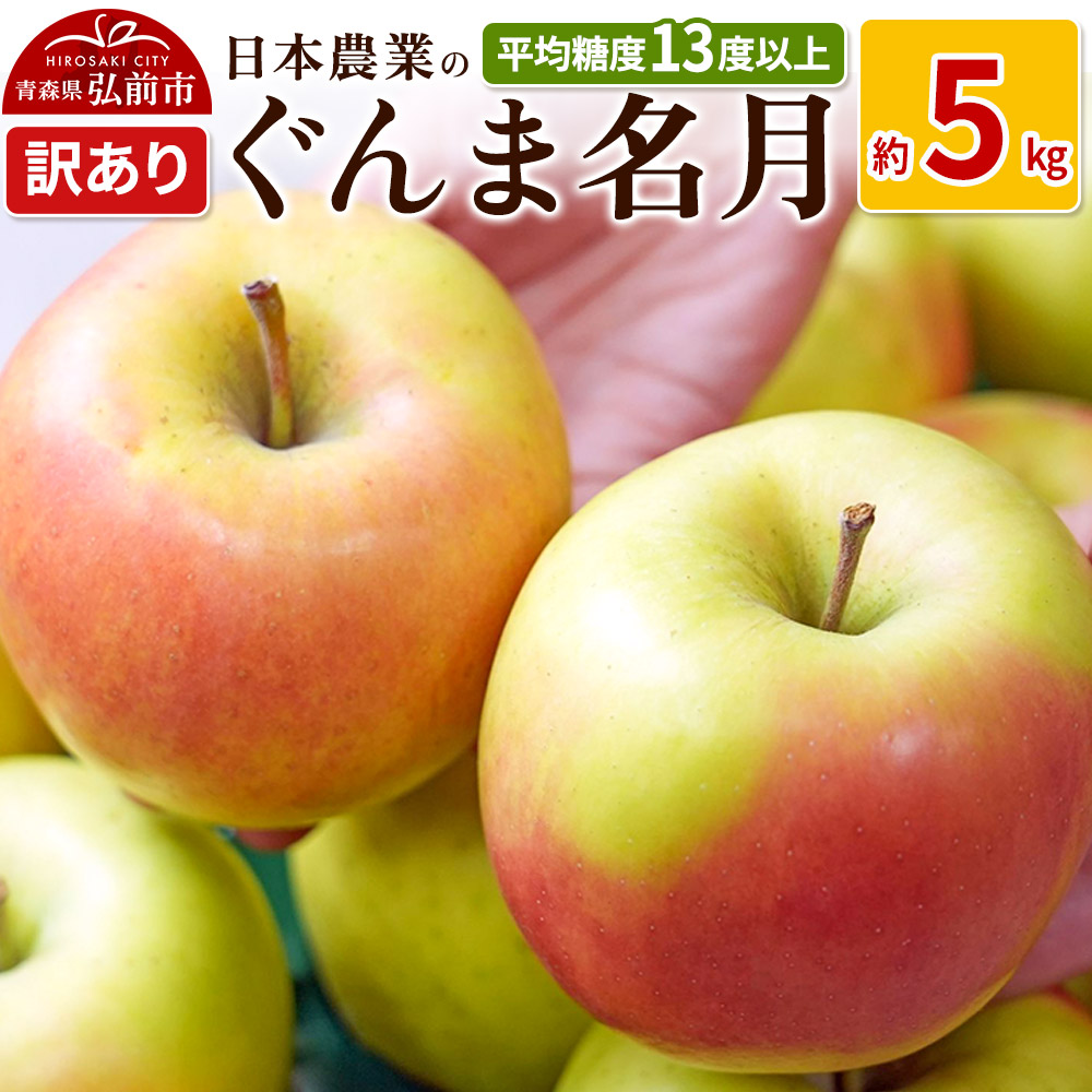 【25年11月〜発送】りんご 平均糖度13度以上! ぐんま名月 約5kg 訳あり【先行受付】 青森 果物 フルーツ 林檎 リンゴ くだもの 不揃い 規格外 予約青森県弘前市13000果物・フルーツりんご・梨