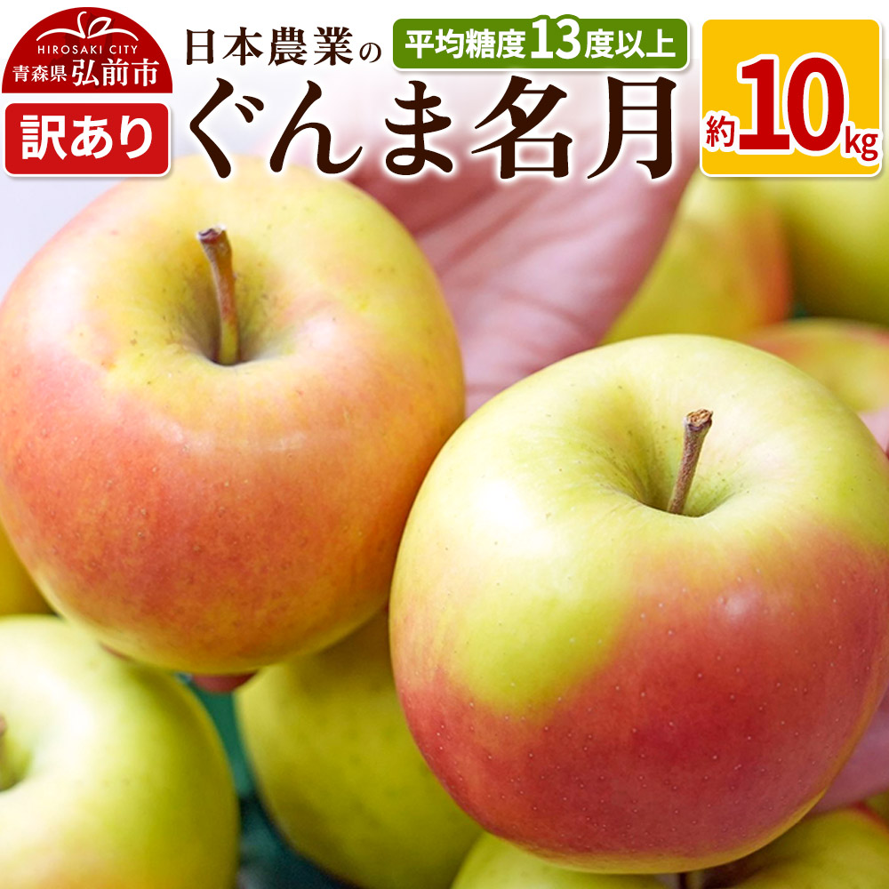 【25年11月〜発送】りんご 平均糖度13度以上! ぐんま名月 約10kg 訳あり【先行受付】 青森 果物 フルーツ 林檎 リンゴ くだもの 不揃い 規格外 予約青森県弘前市18000果物・フルーツりんご・