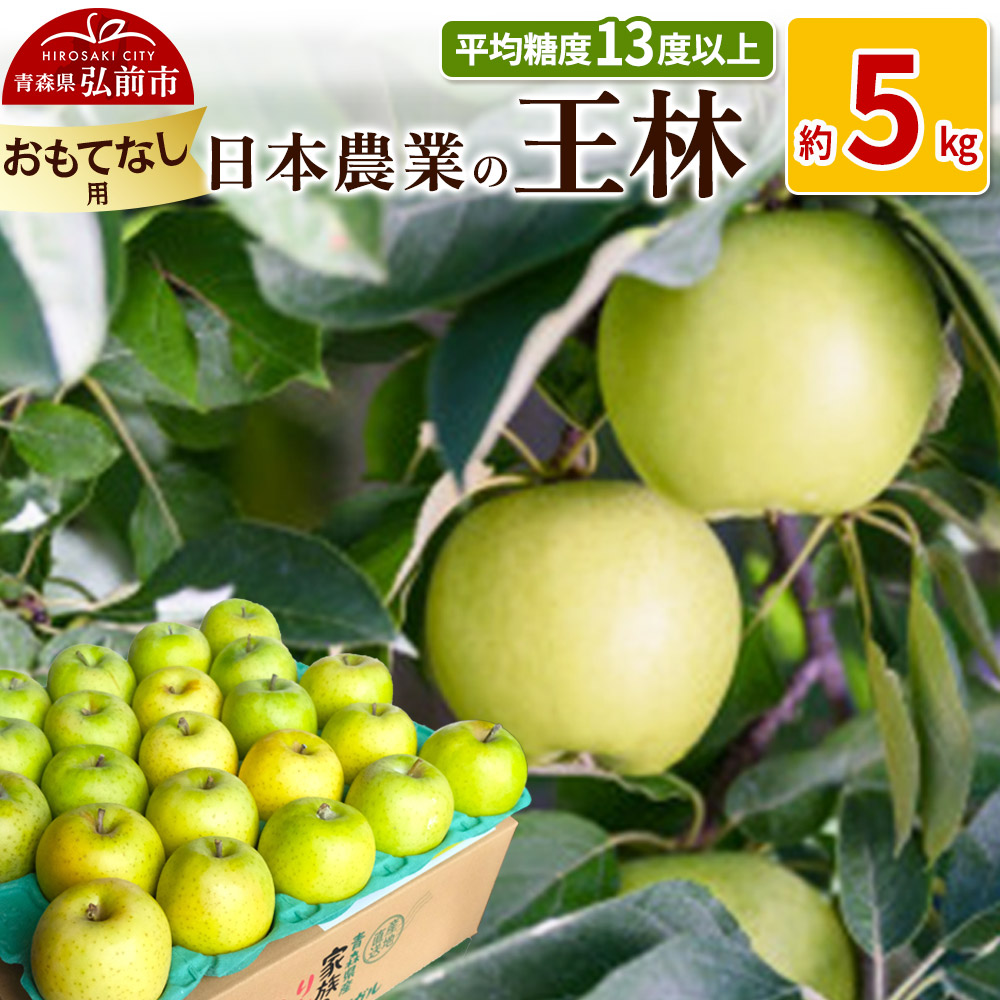 y25N11`z ϓx13xȏI  5kg ĂȂpystz X ʕ t[c ь S  \XOOs18000ʕEt[c񂲁E