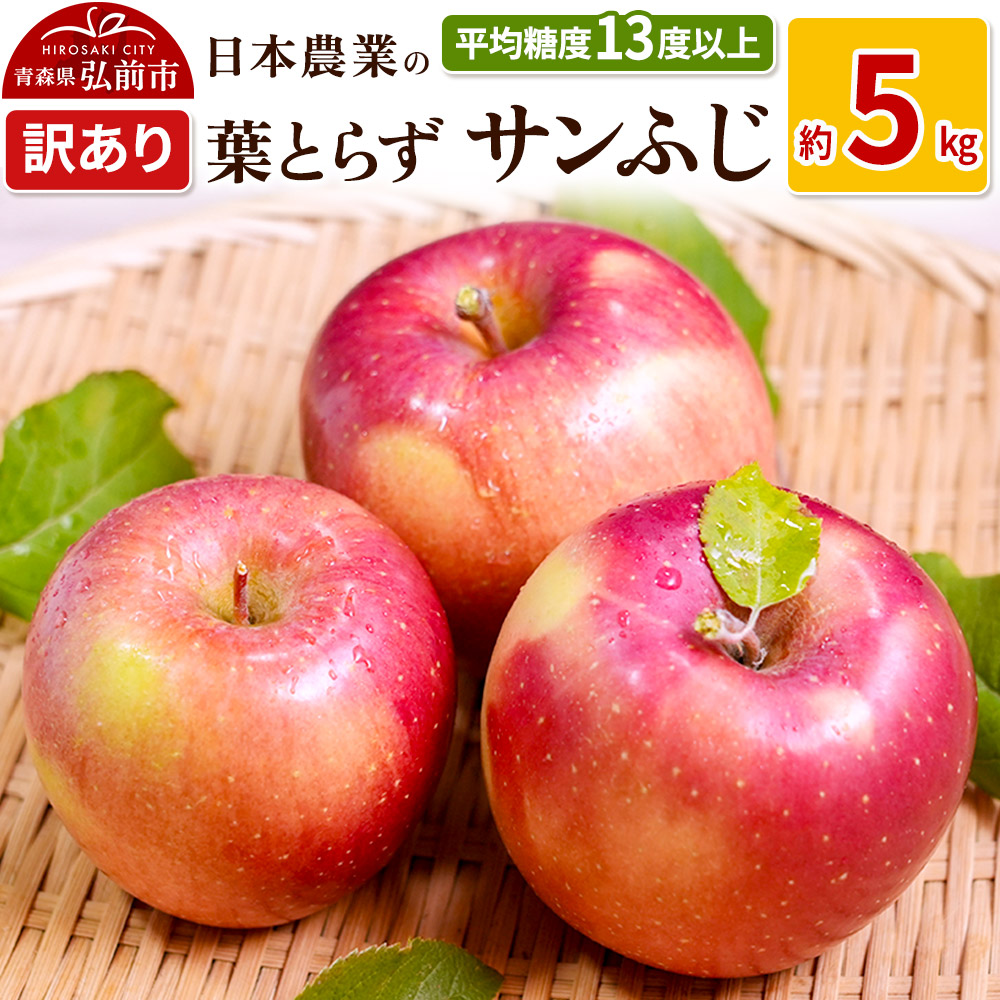 【25年11月〜発送】りんご 平均糖度13度以上! 葉とらずサンふじ 約5kg 訳あり【先行受付】 青森 果物 フルーツ 林檎 リンゴ くだもの 不揃い 規格外 予約青森県弘前市13000果物・フルーツりん
