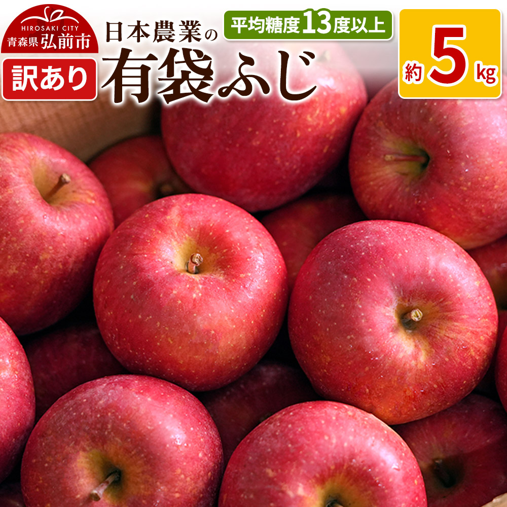 【26年4月〜発送】りんご 平均糖度13度以上! 有袋ふじ 約5kg 訳あり CA貯蔵 クール便【先行受付】 青森 果物 フルーツ 林檎 リンゴ くだもの 不揃い 規格外 予約青森県弘前市17000果物・フルー